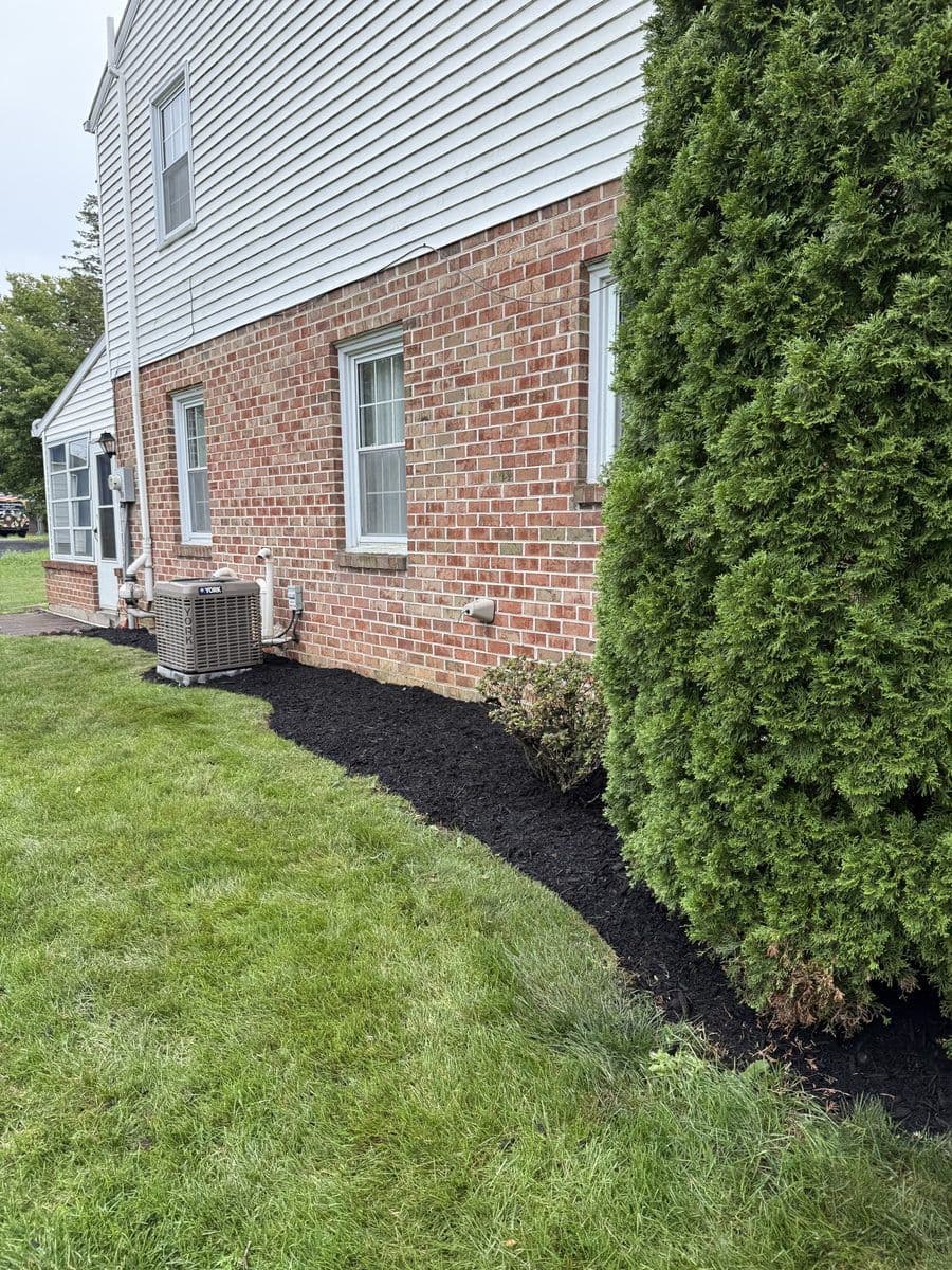 Side bed of a brick house, weeded and covered in fresh black mulch