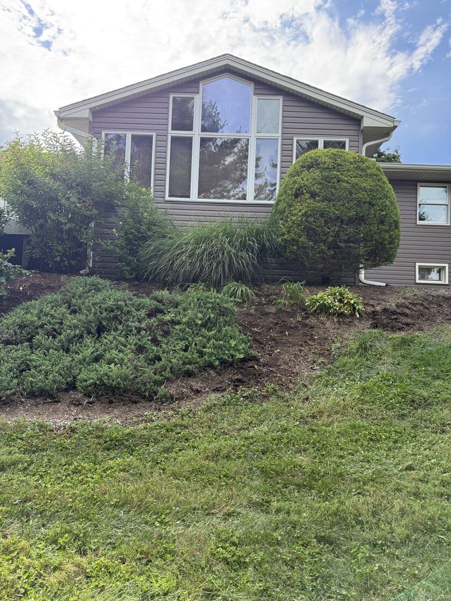 Landscape bed on a slope, cut back and cleaned up