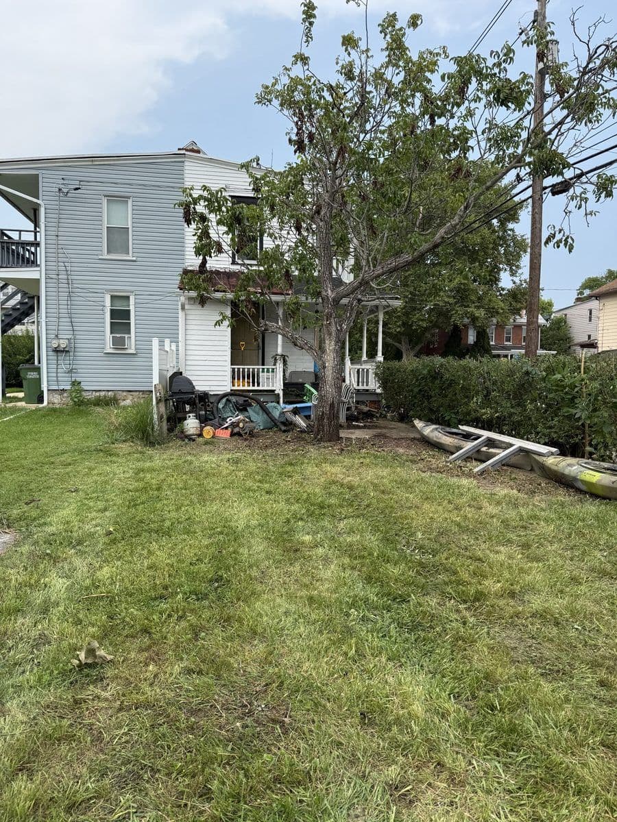 Same yard cut down and cleaned up to a mowable lawn